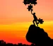 1920-silhouette-people-putting-jigsaw-with-another-on-sky-1.jpg